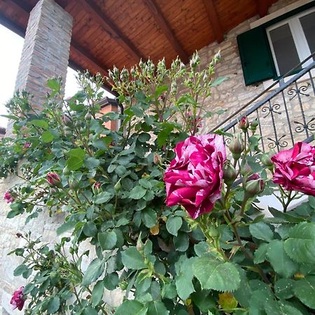 Villa Kortina Bašanija エクステリア 写真